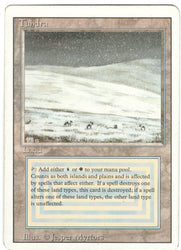 Scan #0071 - Tundra - Revised