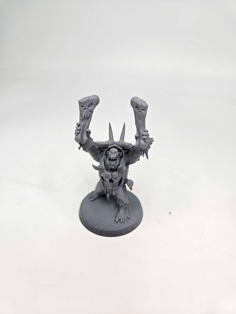 IRON JAWS - WARCHANTER - WARHAMMER AGE OF SIGMAR (A1392)