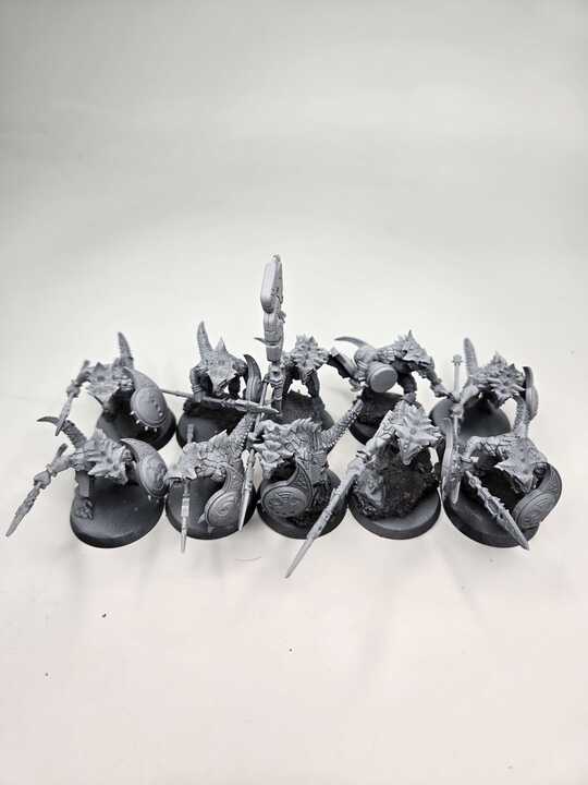 SERAPHON - SAURUS WARRIORS - WARHAMMER AGE OF SIGMAR (A1688)