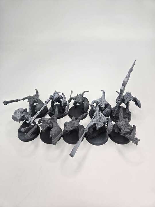 SERAPHON - SAURUS WARRIORS - WARHAMMER AGE OF SIGMAR (A1689)