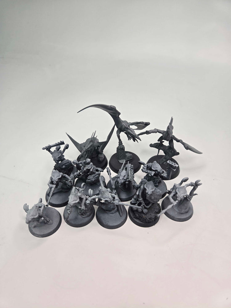 SERAPHON - HUNTERS OF HUANCHI - WARHAMMER AGE OF SIGMAR (A1696)