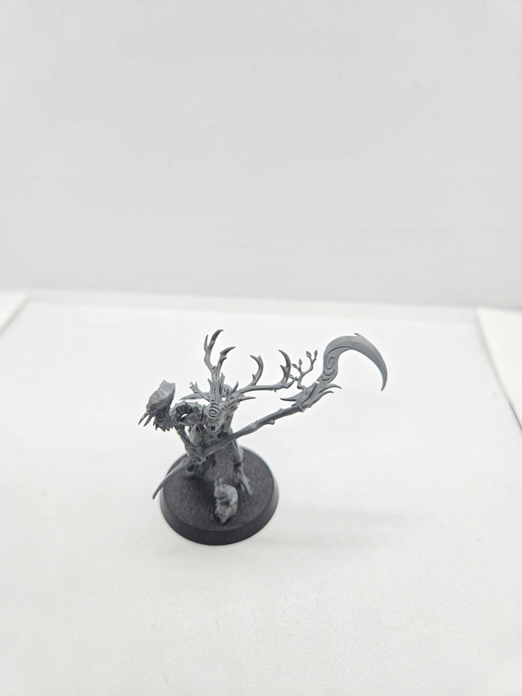 Sylvaneth - Branch Wych - Age of Sigmar - UM-00030