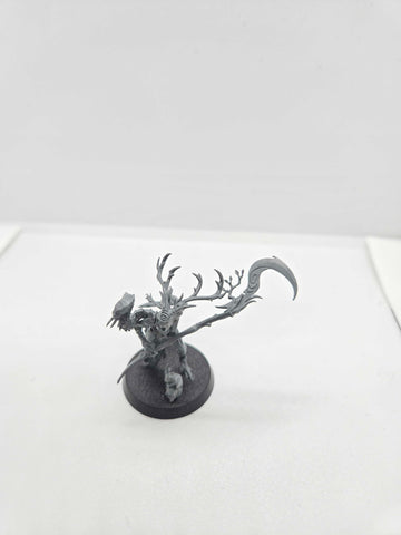 Sylvaneth - Branch Wych - Age of Sigmar - UM-00030
