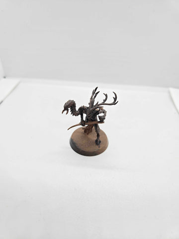 Sylvaneth - Branch Wych - Age of Sigmar - UM-00032