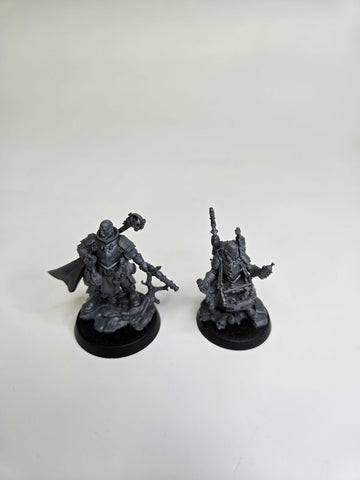 CITIES OF SIGMAR - MARSHAL ASHFIELD AND SQUIRE UDO - WARHAMMER AGE OF SIGMAR (A0806)