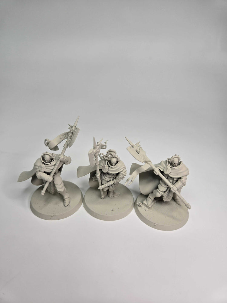 STORMCAST ETERNALS - PRAETORS - WARHAMMER AGE OF SIGMAR (A0672)