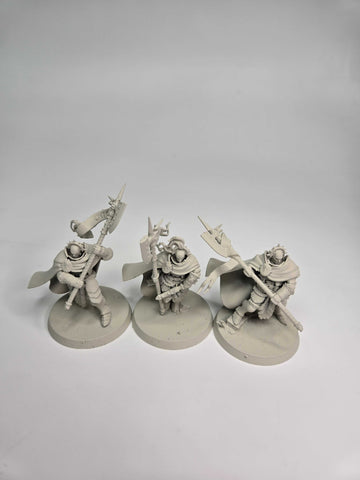 STORMCAST ETERNALS - PRAETORS - WARHAMMER AGE OF SIGMAR (A0672)