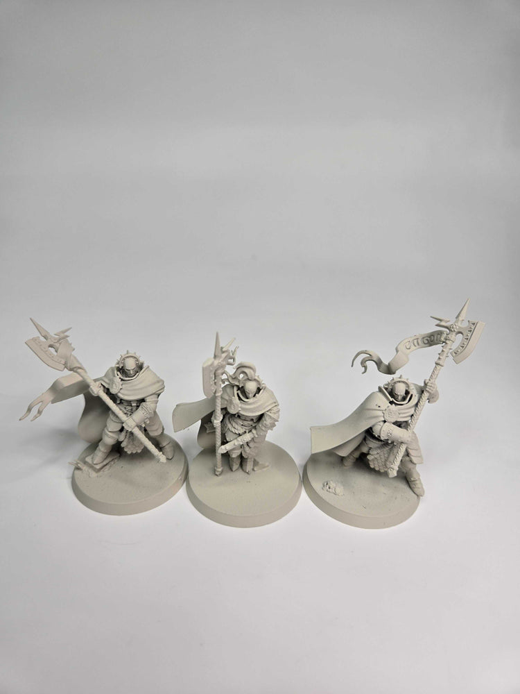 STORMCAST ETERNALS - PRAETORS - WARHAMMER AGE OF SIGMAR (A0673)