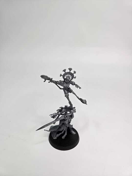 LUMINETH REALM LORDS- ELLANIA AND ELLETHOR- WARHAMMER AGE OF SIGMAR (A0978)