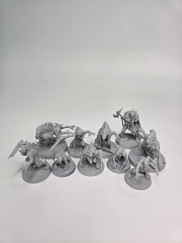 FLESH-EATER COURTS - ROYAL BEASTFLAYERS - WARHAMMER AGE OF SIGMAR (A0968)