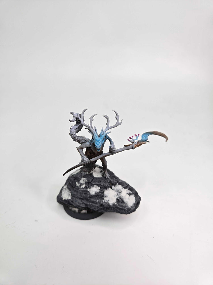 SYLVANETH - BRANCHWYCH - WARHAMMER AGE OF SIGMAR (A1025)