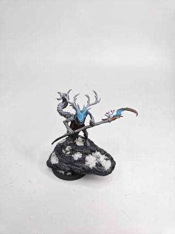 SYLVANETH - BRANCHWYCH - WARHAMMER AGE OF SIGMAR (A1025)