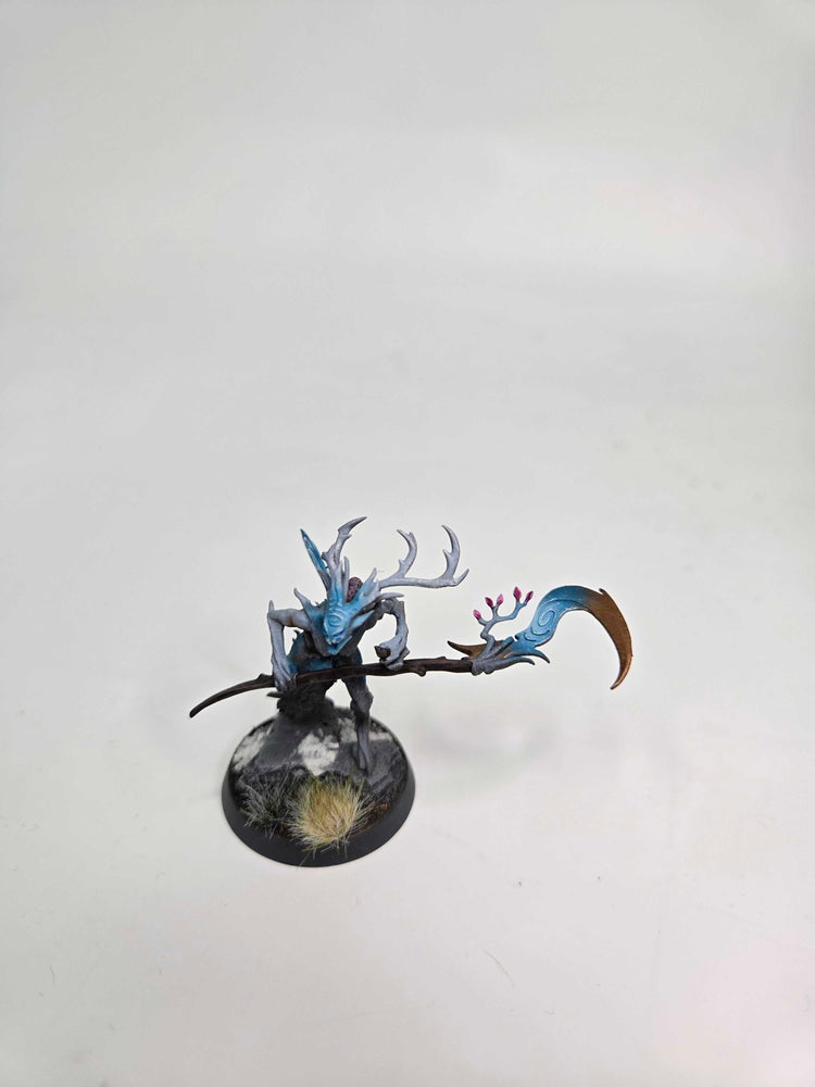 SYLVANETH - BRANCHWYCH - WARHAMMER AGE OF SIGMAR (A1026)