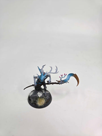 SYLVANETH - BRANCHWYCH - WARHAMMER AGE OF SIGMAR (A1026)