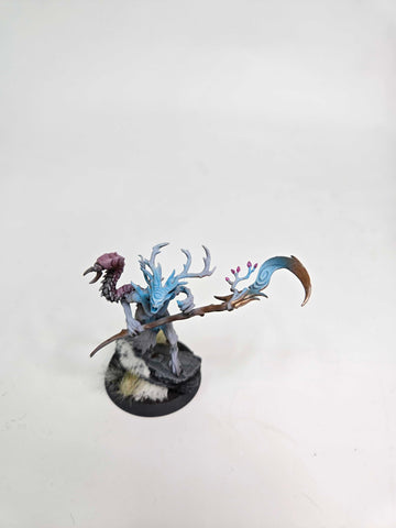 SYLVANETH - BRANCHWYCH - WARHAMMER AGE OF SIGMAR (A1027)