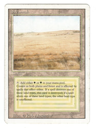 Scan #518 - Savannah - Revised
