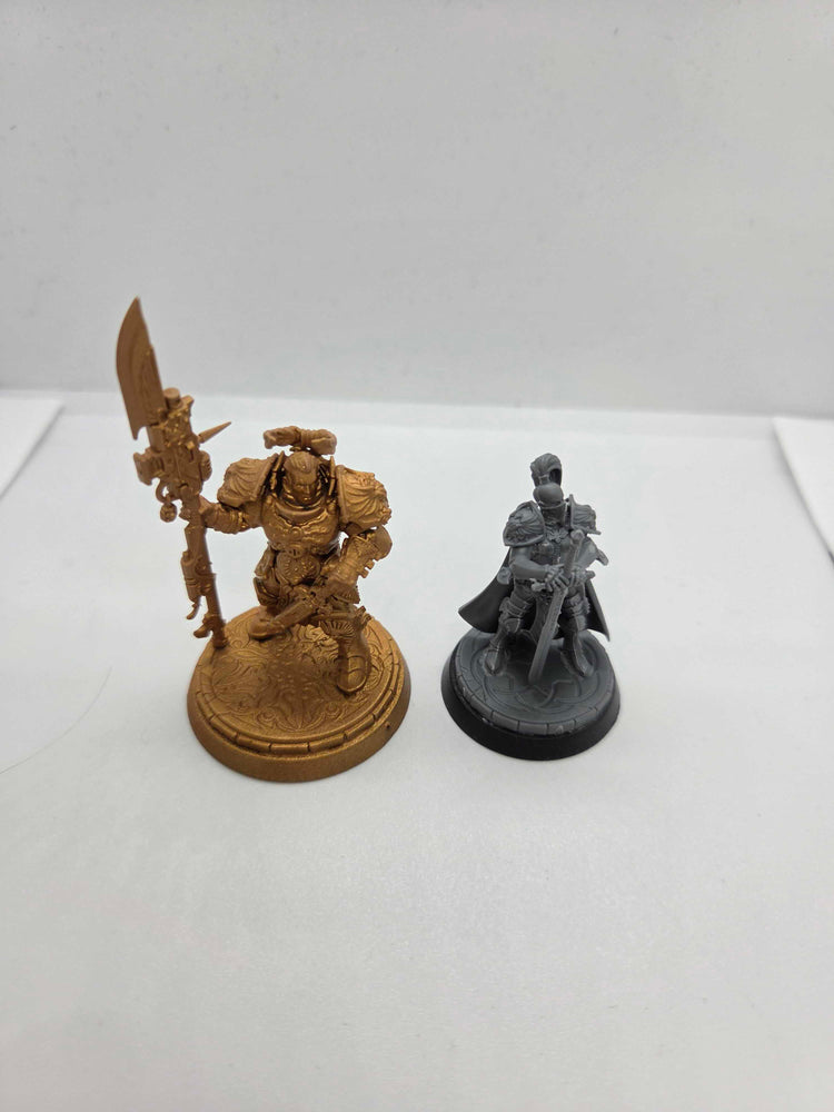 Adeptus Custodes - Valerian and Aleya - Warhammer 40000 - UM-00290