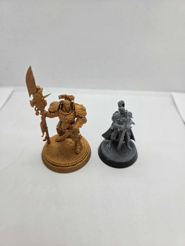 Adeptus Custodes - Valerian and Aleya - Warhammer 40000 - UM-00290