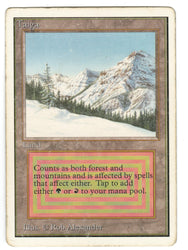 Scan #539 - Taiga - Unlimited