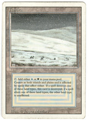 Scan #585 - Tundra - Revised