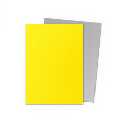 Dragon Shield Matte Dual Sleeve 100ct - Yellow & Silver