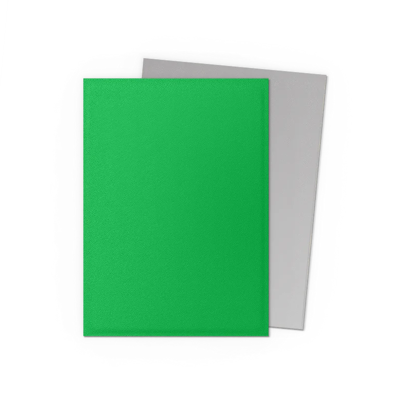 Dragon Shield Matte Dual Sleeve 100ct - Apple Green & Silver