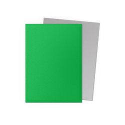 Dragon Shield Matte Dual Sleeve 100ct - Apple Green & Silver