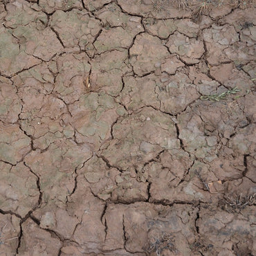 AK Interactive - Wet Crackle Effects 100mL AK8034