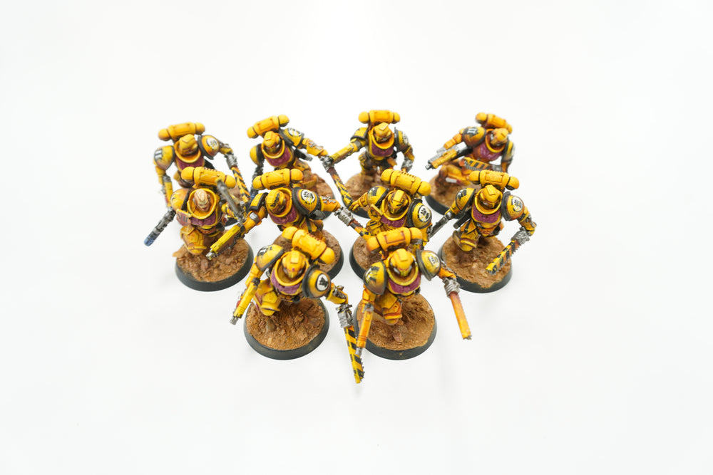 IMPERIAL FISTS ARMY - WARHAMMER 40K