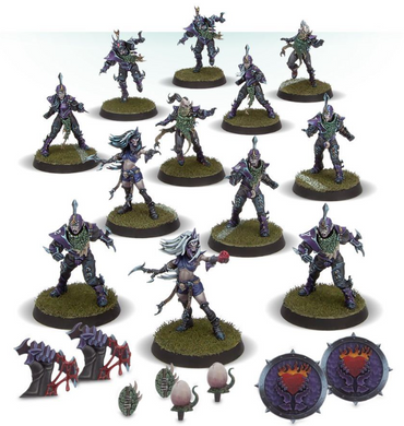 Dark Elf Blood Bowl Team – Naggaroth Nightmares