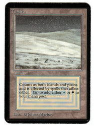 Scan #579 - Tundra - Alpha