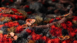 Gamers Grass - Alien Blood Moon (6mm)