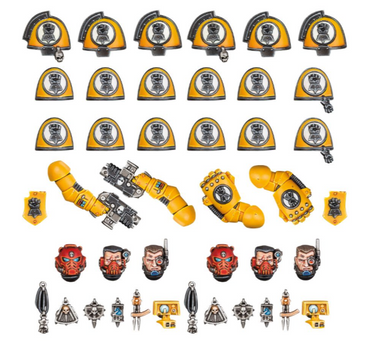 Imperial Fists Primaris Upgrades and Transfers