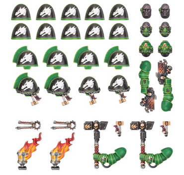 Space Marines: Salamanders Primaris Upgrades and Transfers