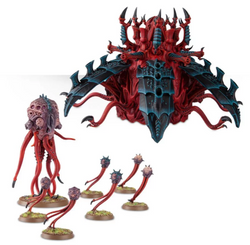 Sporocyst and Mucolid Spore