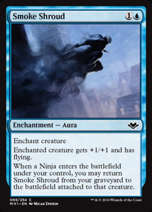 Smoke Shroud [Modern Horizons]